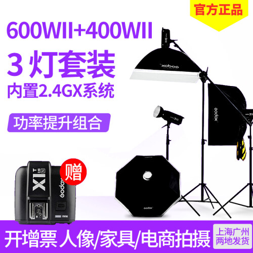 神牛（Godox） 神牛600WII二代摄影灯套装补光灯电商人像闪光灯影室影棚柔光灯 DP600II单灯+SK400WII两灯