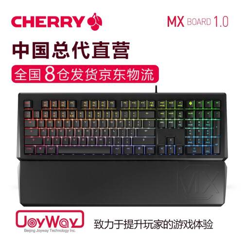 樱桃（CHERRY）MX1.0 机械键盘 游戏键盘 便携键盘 人体工学设计 电脑键盘 108键RGB 红轴