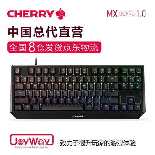 樱桃（CHERRY）MX1.0 机械键盘 游戏键盘 便携键盘 人体工学设计 电脑键盘 87键RGB 青轴