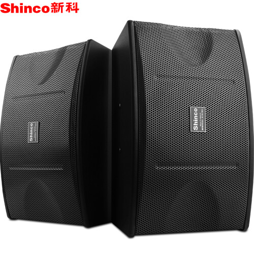 新科（Shinco） DK-450A 家庭影院KTV音响 家用会议舞台音箱 10英寸