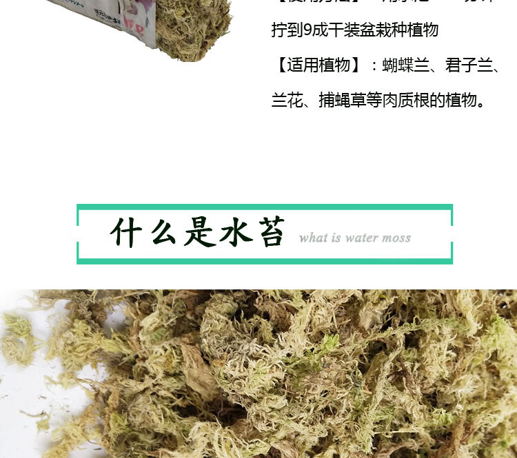 干水苔智力干苔藓铁皮石斛蝴蝶兰多肉兰花食虫草专用营养土盆栽铺面