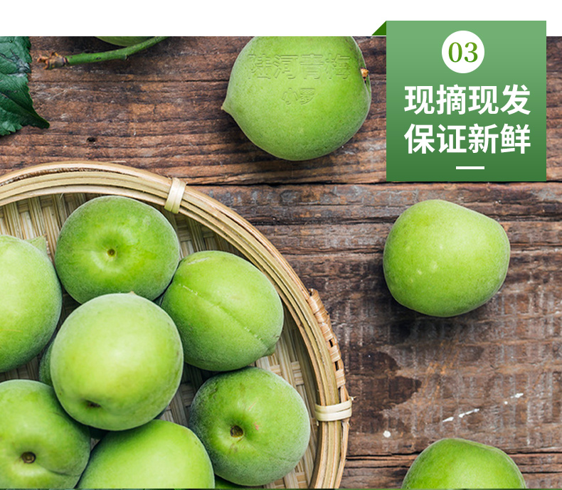 冷链运输广东陆河青梅鲜果青梅果新鲜高山青竹梅现摘泡酒酸梅子孕妇