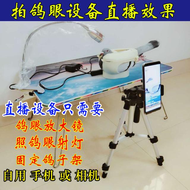 鸽眼拍摄神器6500倍高清鸽子用品手机通用鸽眼拍照设备鸽眼放大镜全套