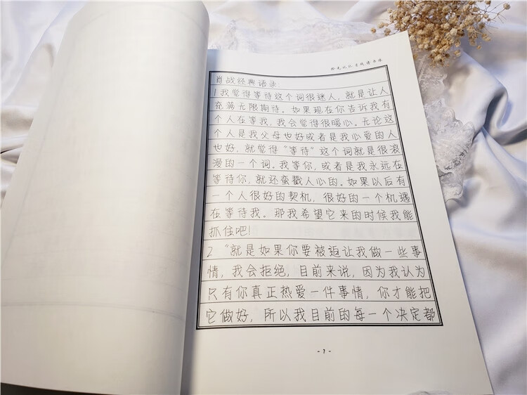 创意肖战周边歌词经典语录练字帖情书体簪花小楷 陈继世行书