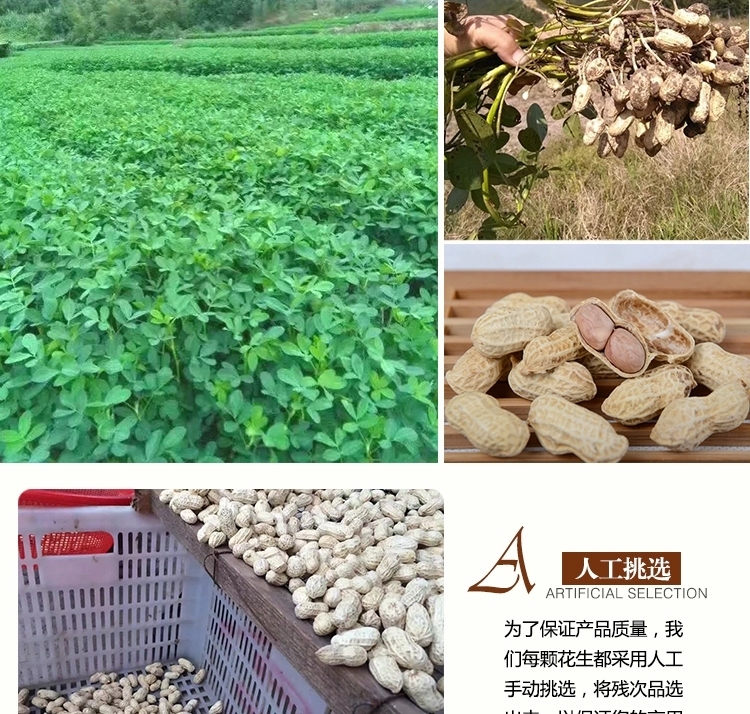 龙岩湿烤花生湿烤花生咸干大池花生闽西特产福建特产花生白衣湿烤原味