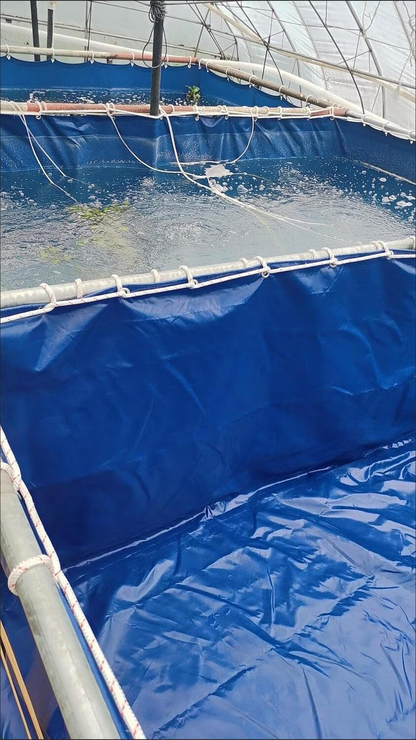 帆布鱼池养殖水箱油布塑料布泳池大型防雨布防水布蓄水池加厚篷布加厚