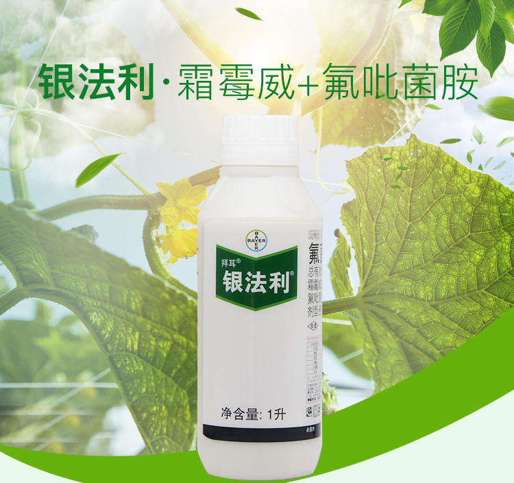 德国拜耳银法利霜霉威氟吡菌胺蔬菜霜霉病疫病农药1000ml1000ml