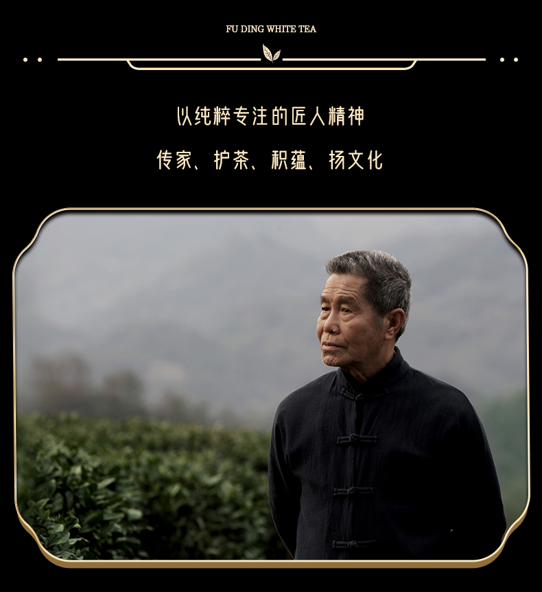 梅相靖大师白茶小罐装2008年一级白毫银针正宗福鼎老白茶散茶40g默认1