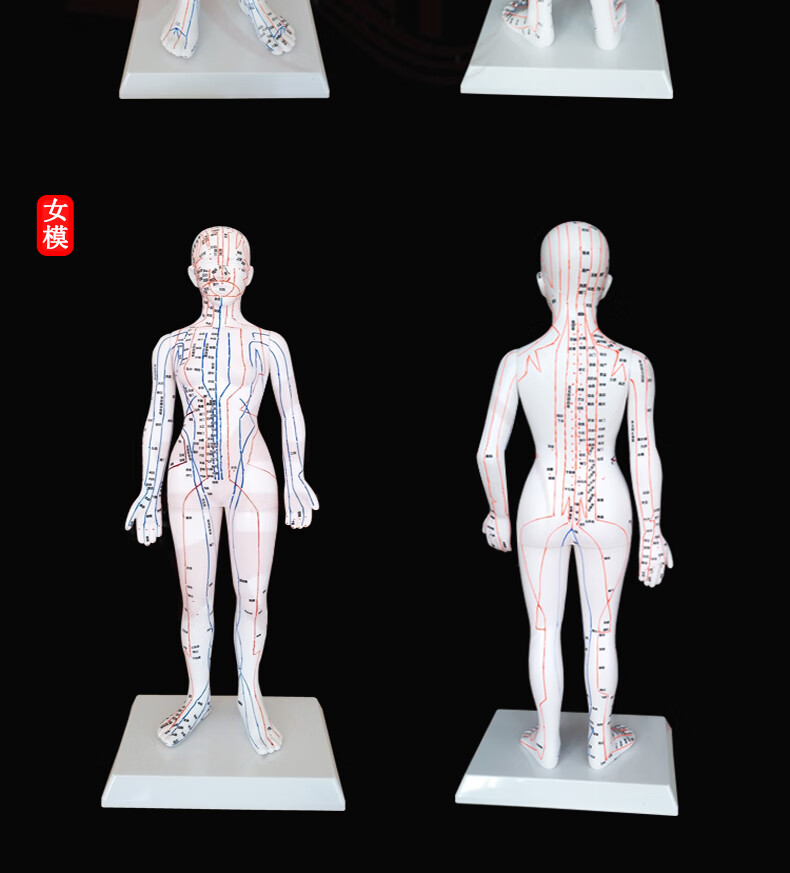 颖健针灸铜人高清刻字中医人体经络穴位模型图推拿按摩教学练针男女小
