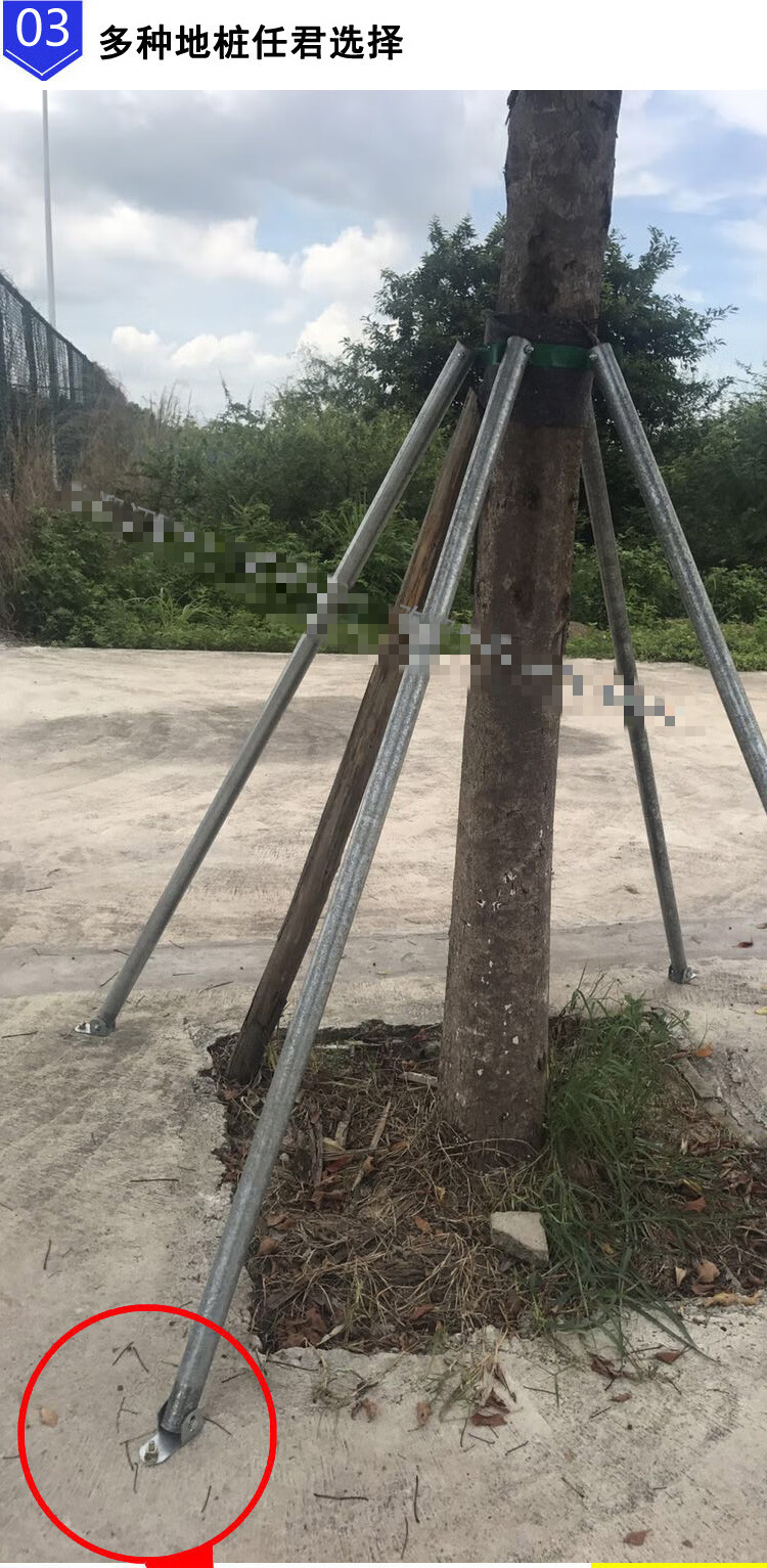 镀锌钢管树木支撑架 金属铁抱箍固定器 园林绿化防风大树撑杆(不含