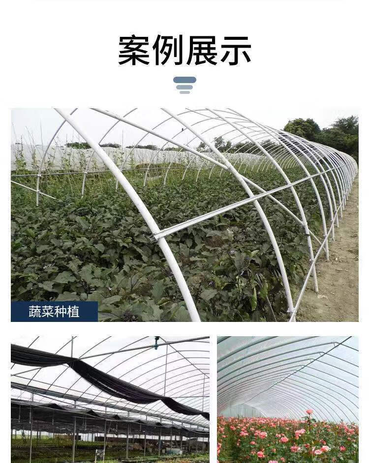 养殖大棚种植大棚蔬菜大棚连体棚保温棚养猪大棚养牛棚养羊棚暖棚种植