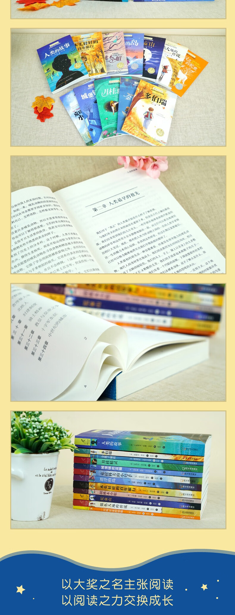 纽伯瑞国际儿童文学金奖小说系列全套12册 小学三四五六年级课外书必读经典书目推荐儿童文学中小学生阅读 全12册