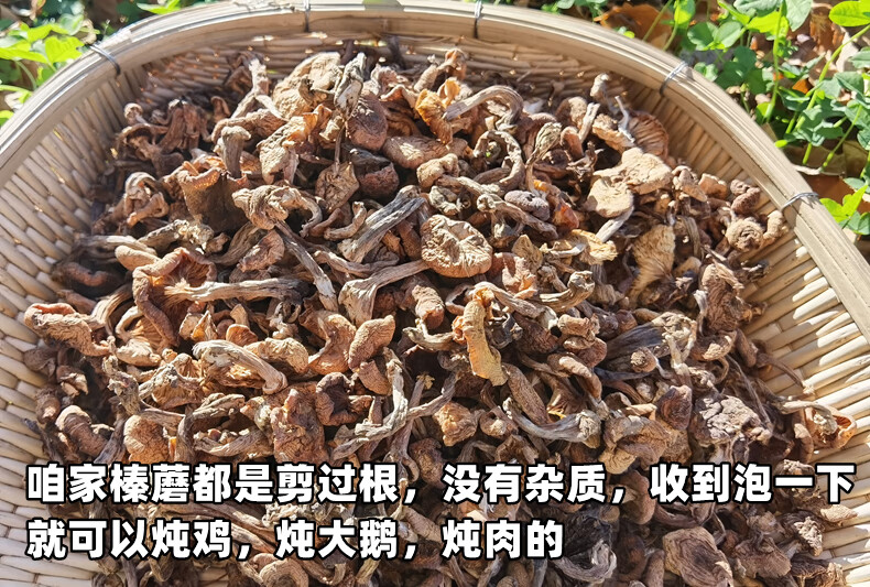 榛蘑东北蘑菇干货特级山珍蘑菇干含丁小鸡炖蘑菇用的榛蘑500g500g