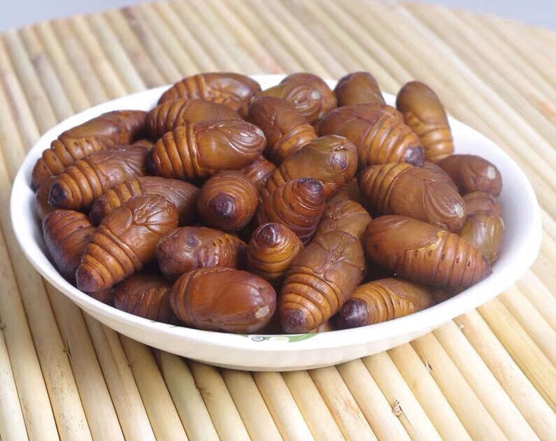 当天发蚕蛹茧蛹东北柞蚕蛹鲜活新鲜蚕蛹批发柞蝉蛹特产大黑蛹45cm五斤