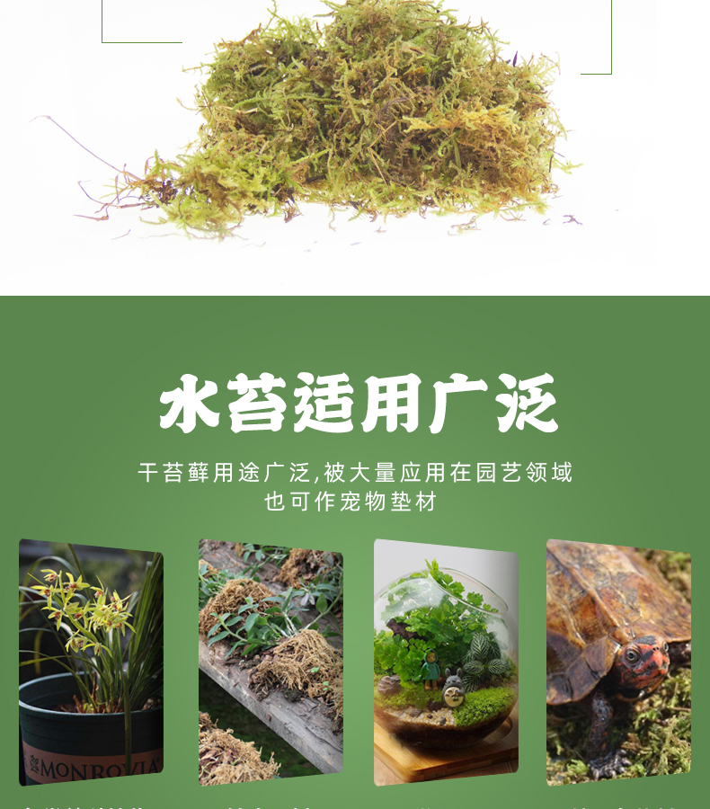 芭瑟曼薇周氏洋华干水苔青苔植物兰花蝴蝶兰专用营养土基铺面苔藓200