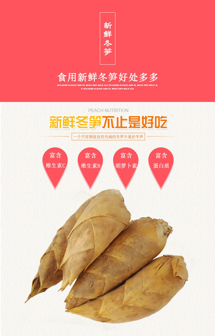 新鲜现挖竹笋楠竹冬笋鲜嫩新鲜蔬菜江西冬笋黄泥地直发 小冬笋(单个4