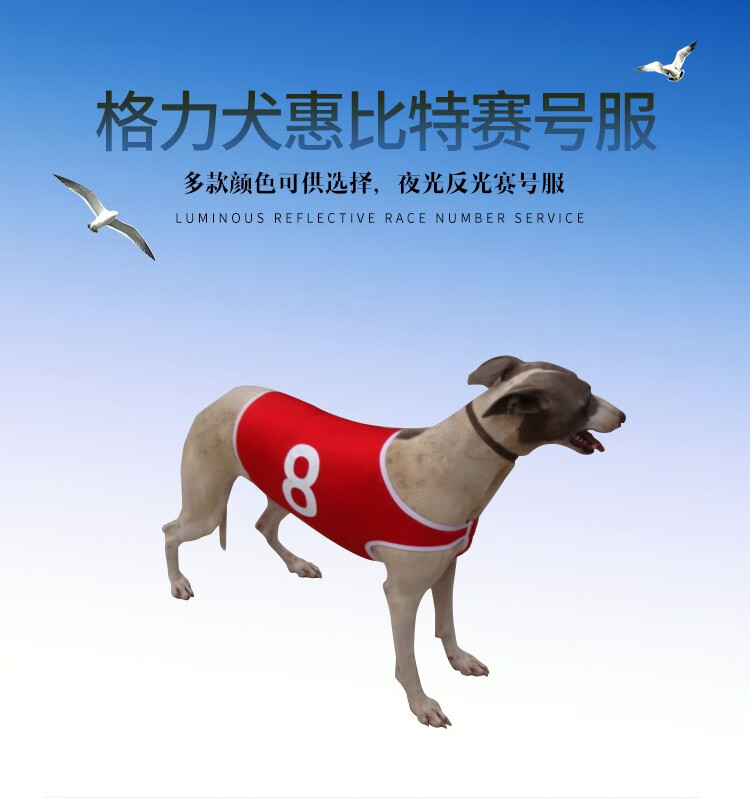 格力犬惠比特赛号服赛狗服赛道服夜光服大型犬狗狗服狗衣服粉红色m 中型 图片价格品牌报价 京东