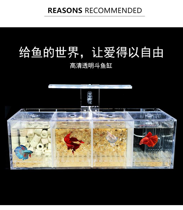 斗鱼缸孔雀鱼繁殖孵化隔离盒亚克力小组排缸活体桌面生态创意 四格