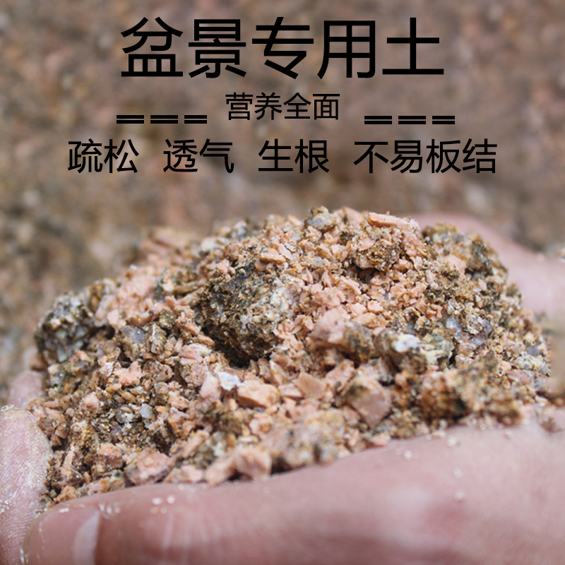 金弹子风化土黄杨罗汉松盆景专用土黑松金豆盆栽通用土风化石颗粒10斤