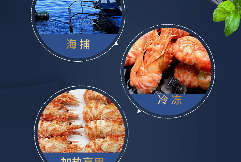 俄罗斯火龙虾格陵兰虾北极甜虾新鲜活头籽熟冻大号即食虾海虾籽虾7090