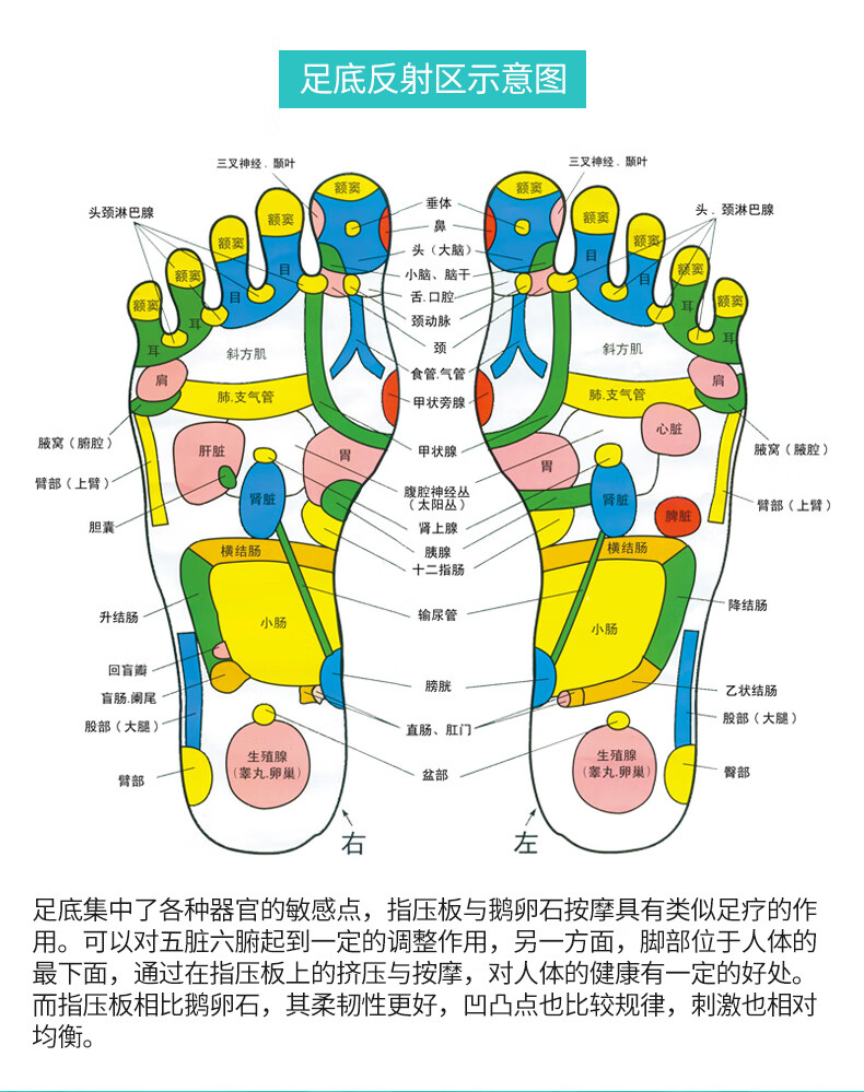 指压板家用穴位足底脚底按摩垫超痛版脚垫小竹笋趾压儿童感统训练so