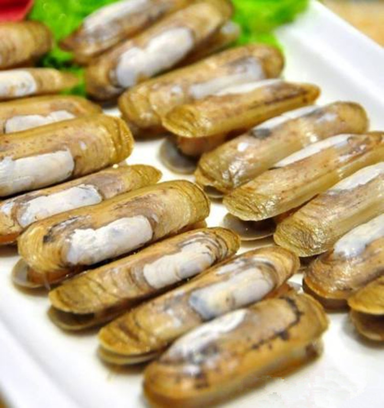 海鲜水产贝类鲜活蛏子新鲜蛏子野生双头蛏鲜活海蚬海贝