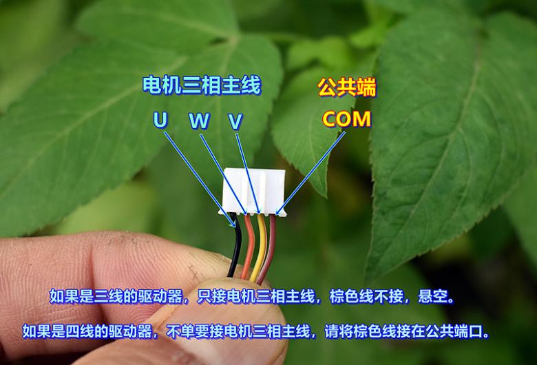 适用于22mm型无刷电机 稀土强磁 外转子三相四线