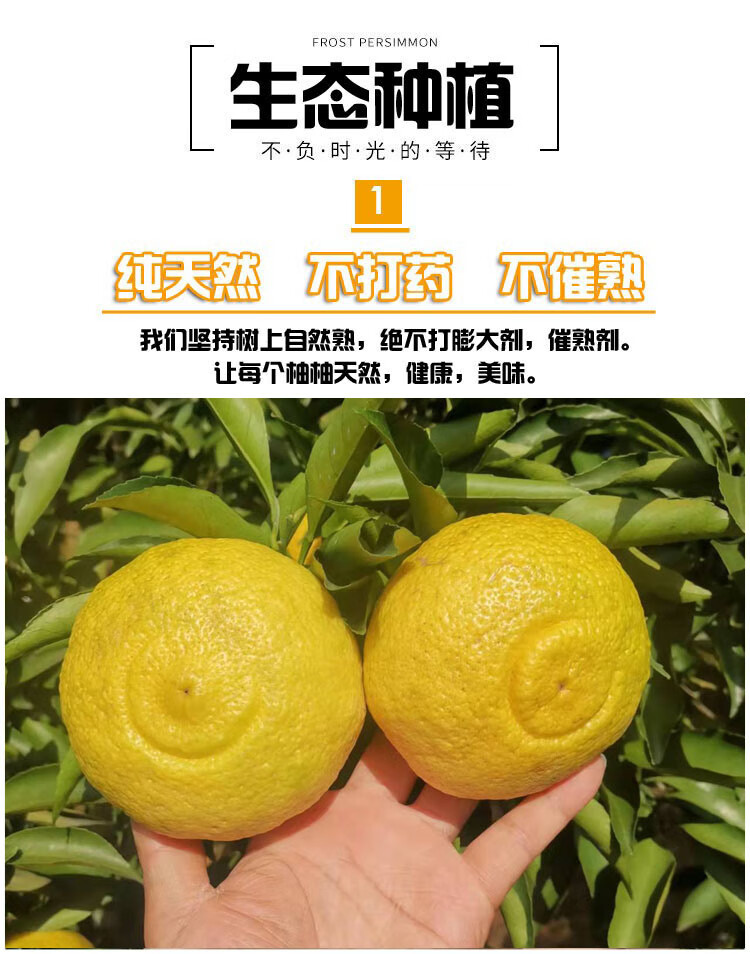 洪江雪峰黄金贡柚湖南怀化10斤新鲜水果春香柚小柚子象山礼盒时令水果