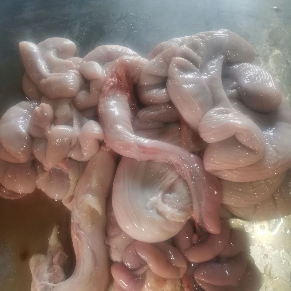 新鲜猪花肠生猪肠猪胎盘卤味烧烤食材黎麦跃堡全生花肠二斤