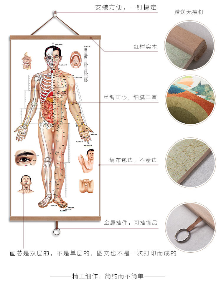 【lism】人体经络穴位图大挂图中医针灸经络图艾灸养生药店诊所挂画