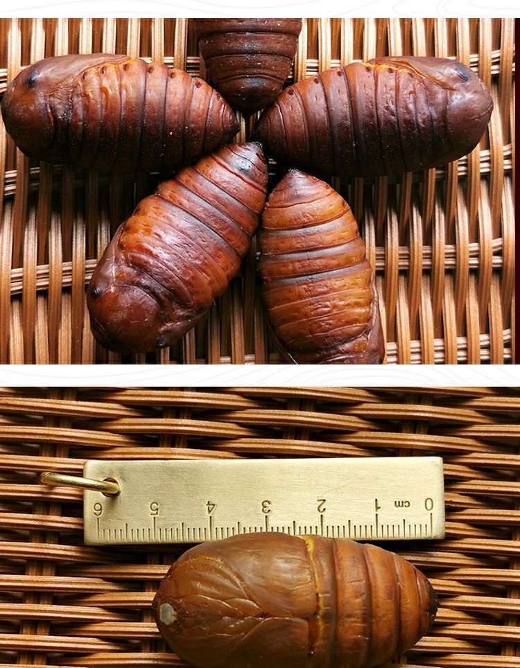 东北蚕蛹新鲜茧蛹蝉蛹特产茧蛹黄蚕蛹34厘米1斤