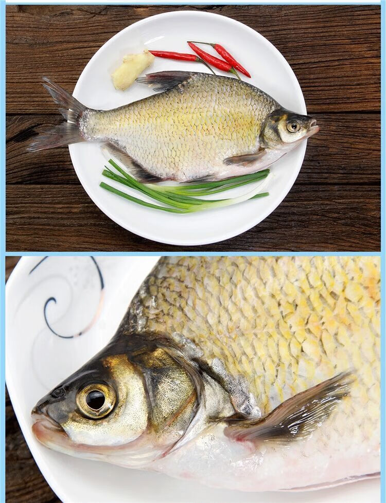 千岛湖扁鱼新鲜鲜活淡水鱼大鳊鱼鲳鳊鱼扁鱼食材生鲜活体生物千岛湖本