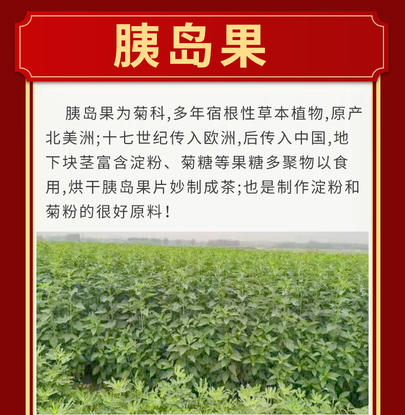 胰岛果茶花茶血糖三高代用保健养生茶一袋装200g胰岛果茶