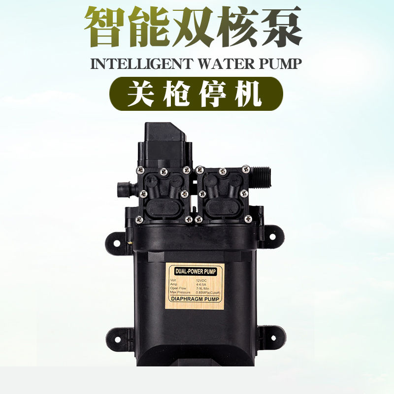 家用洗车机高压洗车泵水枪泵清洗机神器12伏强劲大功率智能双泵12v