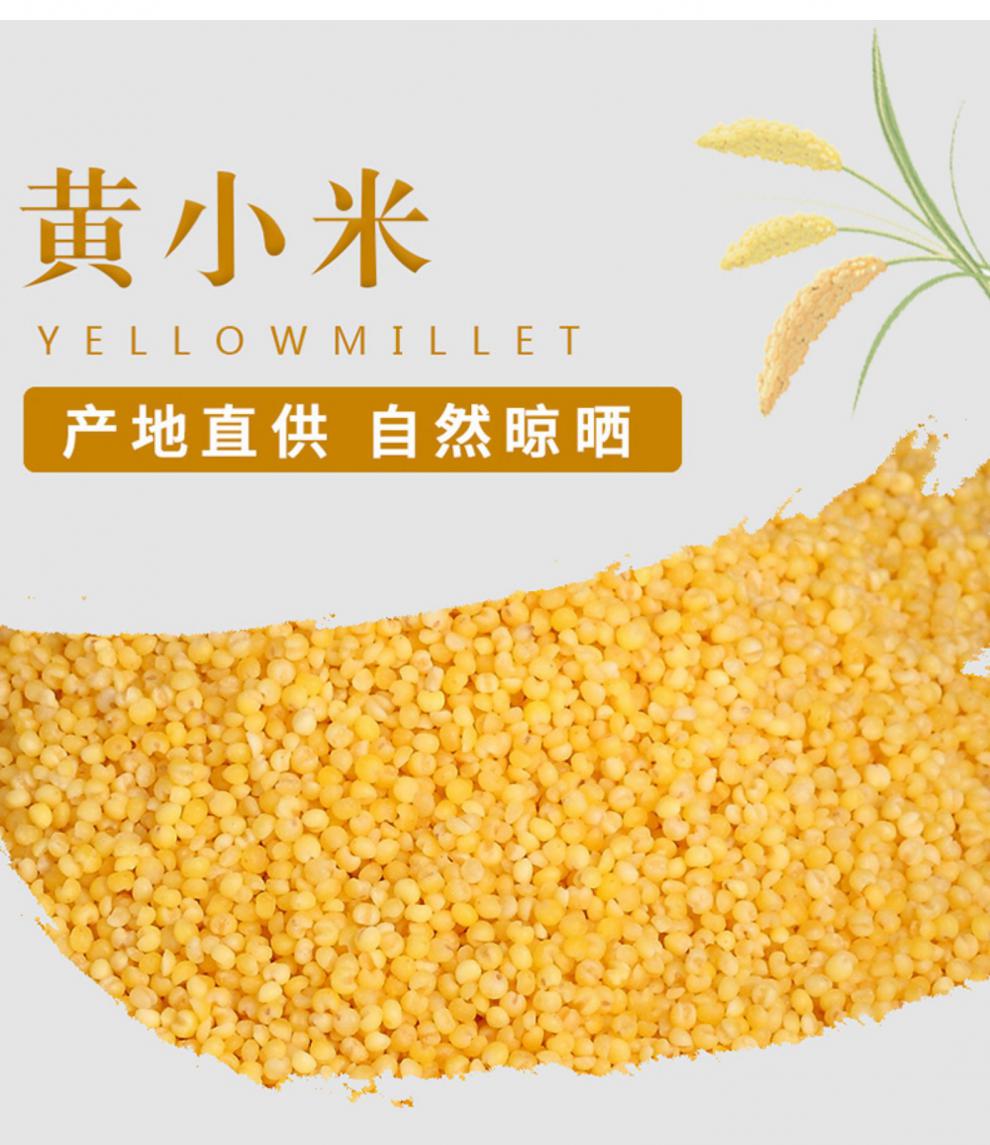 黄小米新米农家小米粒米脂小黄米食品小米粘糯食物小米子黄米