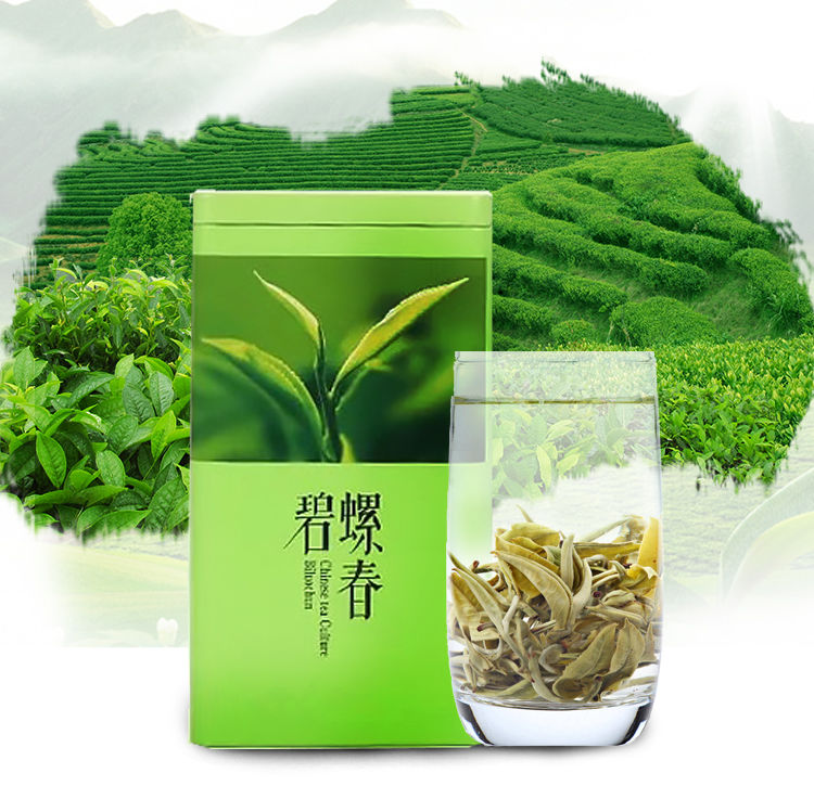 一芽一叶碧螺春茶叶2021新茶茶叶绿茶浓香型云南碧螺春500克一斤实惠