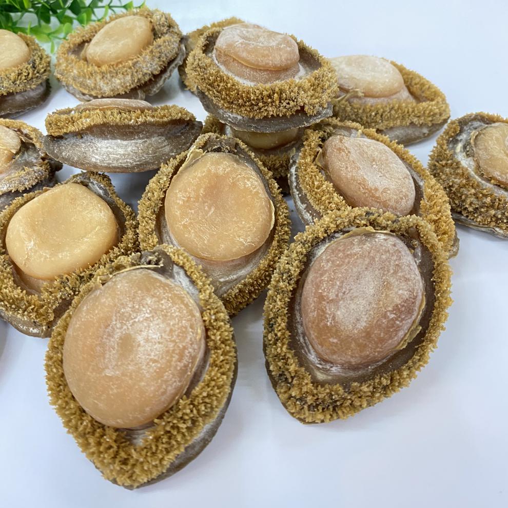 南非鲍鱼干野生干鲍鱼500克2头一斤