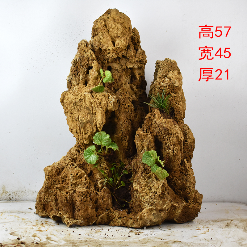 天然吸水石假山石头盆景流水喷泉上水石原石水锈石客厅造景小摆件天