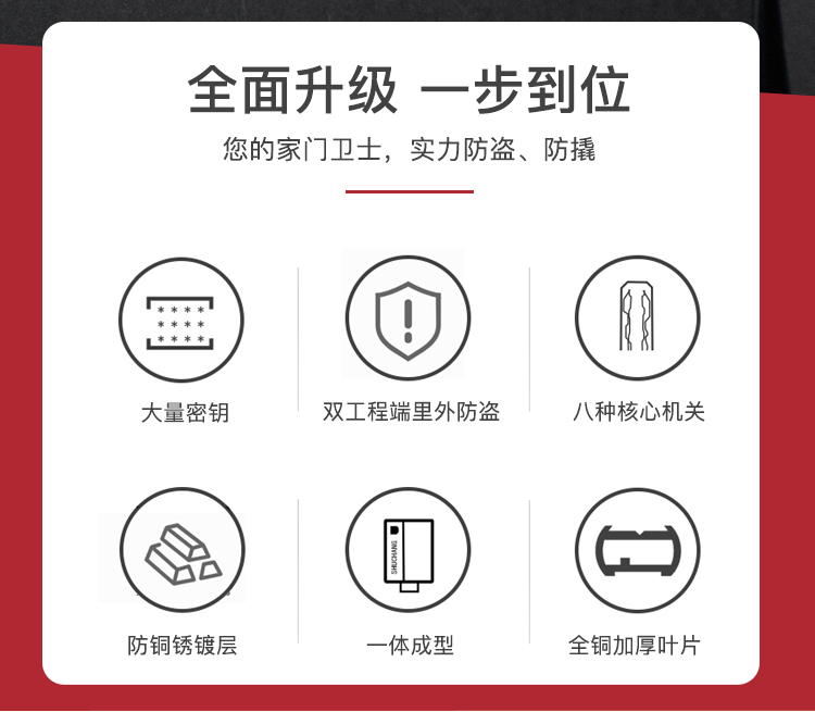 鸿利hooply防盗门锁芯超c级家用通用型门锁具老式防盗门全铜锁芯 超c