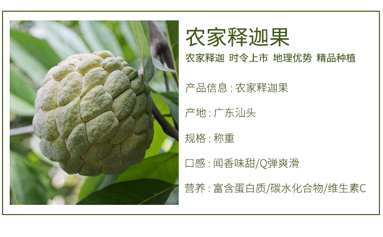鲜青录林檎果潮汕释迦果番荔枝摩尼果牛奶释迦水果新鲜当季整箱佛头果