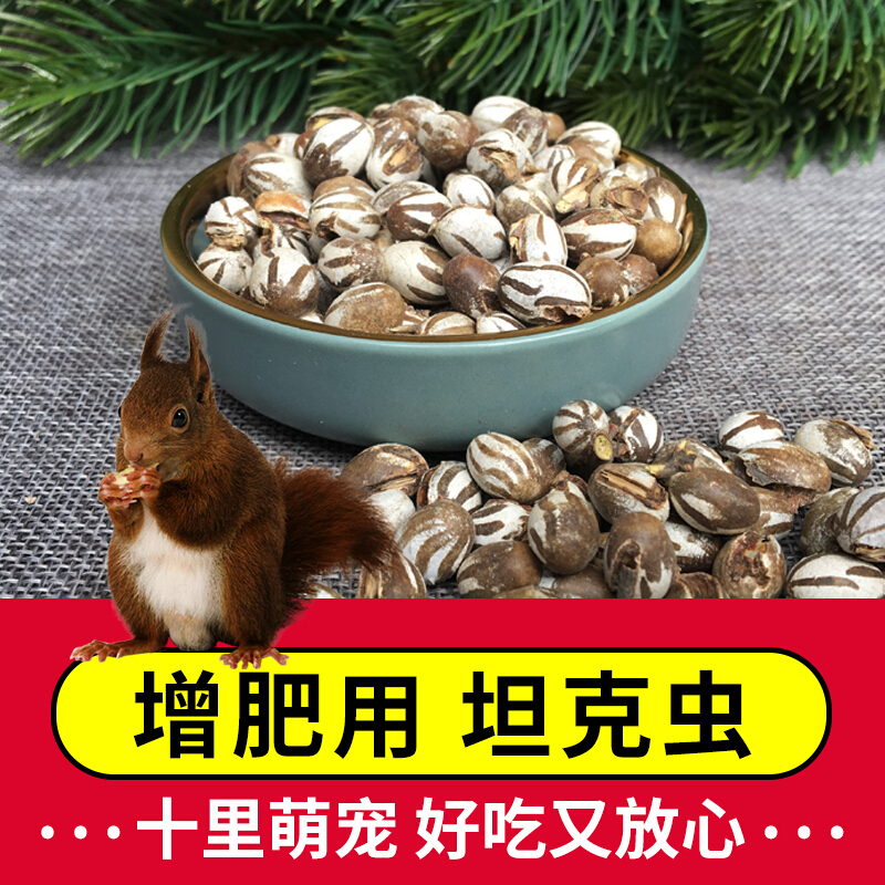 【店铺推荐】松鼠吃的坦克虫蜜袋鼯活魔王仓鼠零食虫子虫卵幼虫粮食活