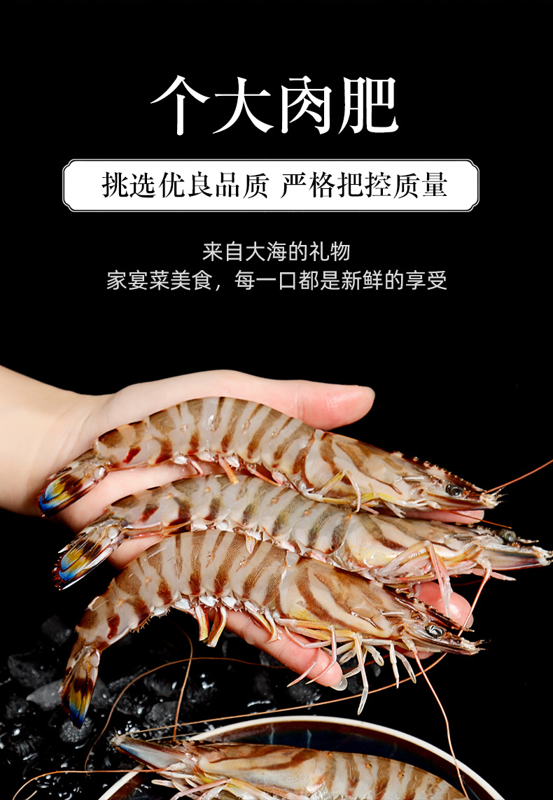 舟山海鲜九节虾基围虾特大虾鲜活速冻海虾斑节虾竹节虾黑虎虾超大500g