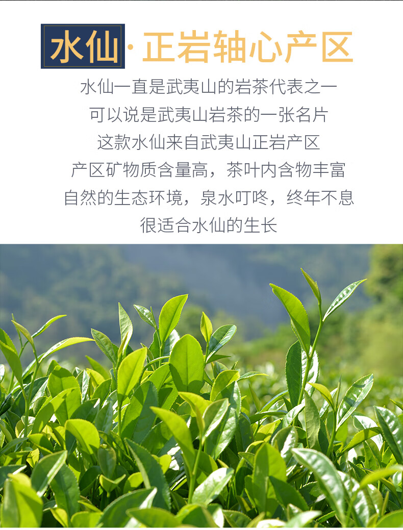 玺悦御品茶叶正岩老枞水仙茶级特大红袍茶叶岩茶虎啸岩水仙礼盒装500g