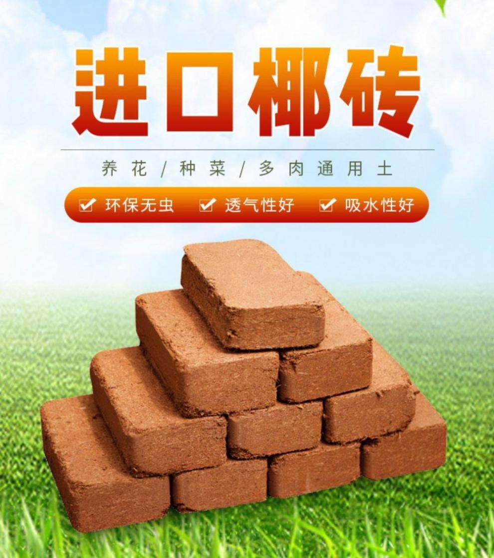 椰子砖土椰子壳椰糠砖花土花园椰壳砖椰砖栽培干燥椰壳盆景砖土蔬果