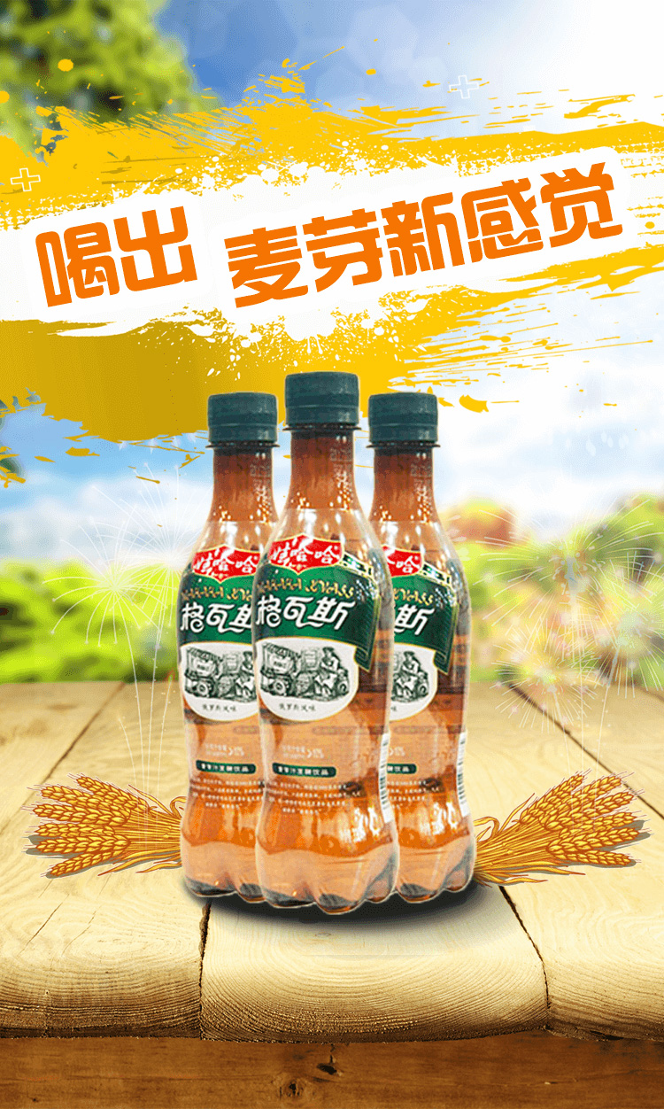 娃哈哈格瓦斯330ml*15瓶碳酸饮料俄罗斯麦芽哇哈哈整箱 格瓦斯330ml*