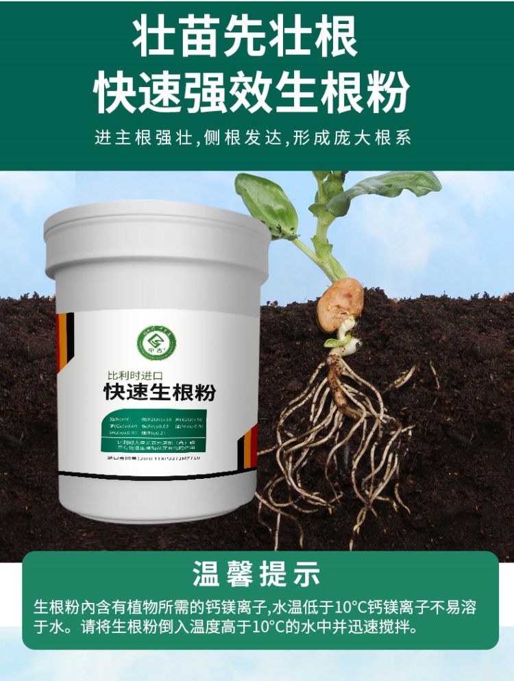 中古比利时快速生根粉液植物通用生根剂扦插用树木生根粉比利时快速