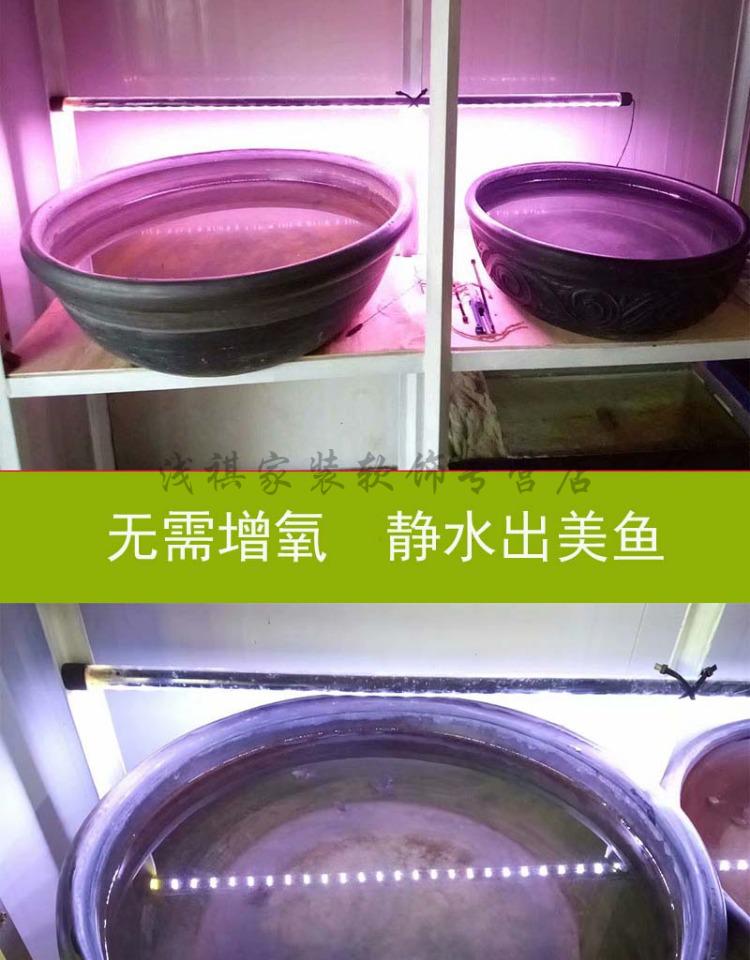 家里面的装饰品摆件土陶素面老瓦盆瓦缸瓦鱼盆金鱼盆陶瓷乌龟睡莲龟鳖