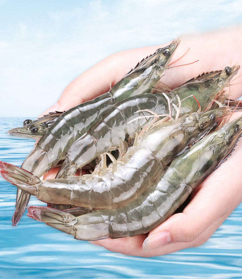 青岛大虾超大海虾鲜活冷冻白虾对虾大虾新鲜海捕大虾海鲜纯虾4斤装