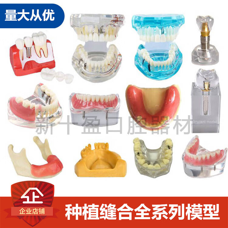 牙科口腔模型半口种植修复模型杆卡种植缝合练习模型医患沟通4倍种植