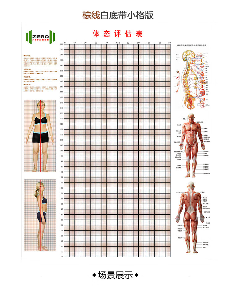 麦达令体态评估表墙贴健身房体测网格瑜伽馆私教姿势体位背景墙体姿图